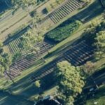 Profile picture of the local growers