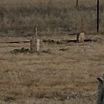 Profile picture of Neil Lasker