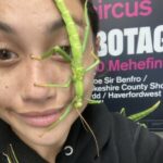 Profile picture of Emily Sheehan