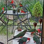 Profile picture of Oaktree Guest House - Mark