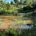 Profile picture of Charmaine Richardson