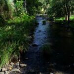 Profile picture of JulieT