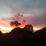 Profile picture of Camille Yao-Leclerc