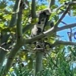 Profile picture of Michael Douglas Bishop