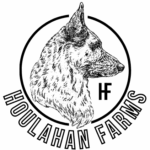 Profile picture of Sean Houlahan