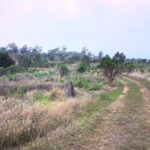 Profile picture of Silverleaf Farm Proston