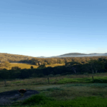 Profile picture of Cocojeau