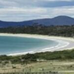 Profile picture of John Kelly