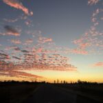 Profile picture of Jenny Sheahan