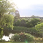 Profile picture of Marina Alexander