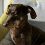 Profile picture of Taimi Clinch
