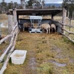 Profile picture of Tom and Jeannette