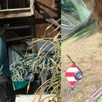 Profile picture of Olivia Adriana Neumayer