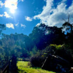 Profile picture of Deborah Payne