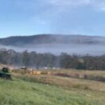 Profile picture of Jenny zhao