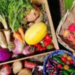 Profile picture of Laura