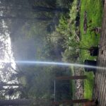 Profile picture of Nevertime