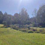 Profile picture of Carolyn