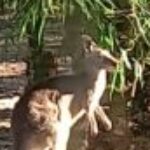 Profile picture of Daplejaz