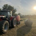 Profile picture of Eleonora Alessi