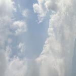 Profile picture of Louis Souvignet