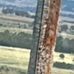 Profile picture of Weemalah