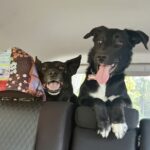 Profile picture of YalanjiGarden