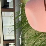 Profile picture of Biggy