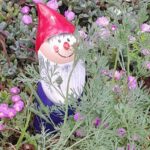 Profile picture of Seepferdchen