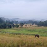 Profile picture of Bonnie Brae