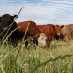 Profile picture of Elle Moyle