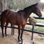 Profile picture of Kiernan Park