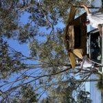 Profile picture of JUAN RIVERA