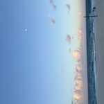 Profile picture of Franco Radin