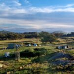 Profile picture of Rocky Rise Farm