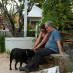 Profile picture of Little Luscious Farm
