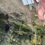 Profile picture of Dalecarter