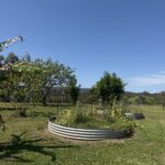 Profile picture of Dewood Equestrian and Homestead