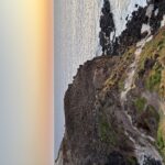 Profile picture of Haluca