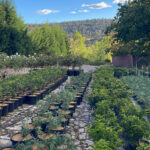 Profile picture of Joel Fletcher