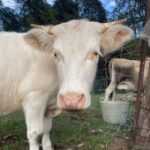 Profile picture of Big sky