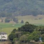 Profile picture of Juliana Frances and Tony (partner)