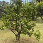 Profile picture of GORDON AND JANINE