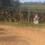 Profile picture of Simon & Debra