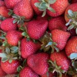 Profile picture of Paul Miragliotta