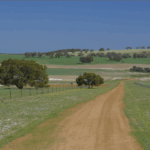 Profile picture of Tony Ruse