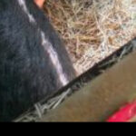 Profile picture of Jane Murphy