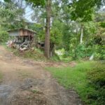 Profile picture of Mark and Ronnie Hemmett