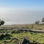 Profile picture of John Nixon