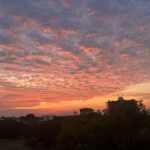 Profile picture of Meredith Drew